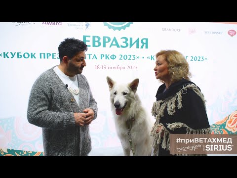 Видео: Конкурс танца с собаками. Кубок РКФ 2023// #приВЕТАХМЕД