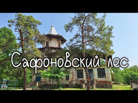 Видео: Экотропа в Сафоновском лесу, Ставропольский край