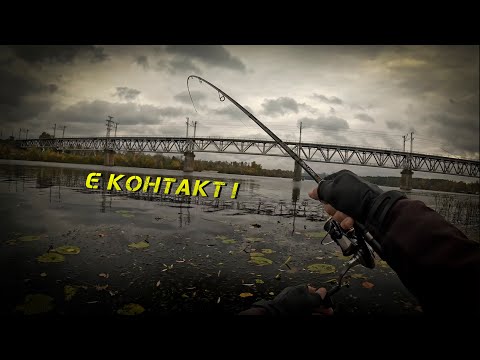 Видео: ✅ТОНКОЩІ ЛОВЛІ ВОСЕНИ! ОСЬ ХТО КЛЮЄ ЗАРАЗ!✅