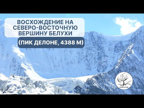 Видео: Восхождение на северо-восточную вершину Белухи (Пик Делоне, 4388 м)