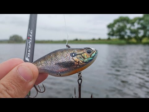 Видео: ЭТА ПРИМАНКА ЛОВИТ ТОГДА, когда ДРУГИЕ НЕ МОГУТ. Рыбалка на спиннинг в 2023