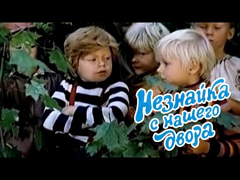 Видео: Незнайка с нашего двора (1983)