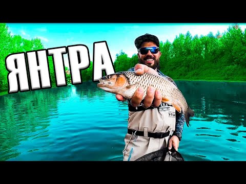 Видео: КЕФАЛИ на Река ЯНТРА !