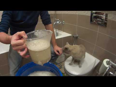 Видео: Односолодовый виски на кодзи ч1. Ставим брагу.