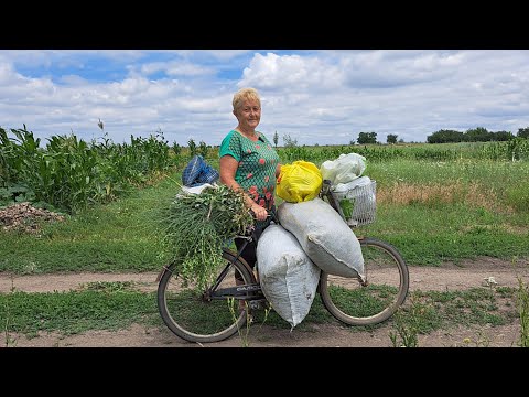 Видео: Вот тебе и хозяйка! Бурьян на 3-х огородах выше головы