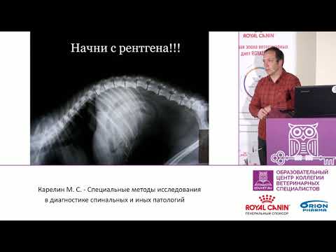 Видео: Карелин М. С. - Методы исследования в диагностике спинальных нарушений
