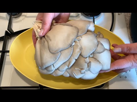 Видео: Что приготовить из ВЕШЕНОК?