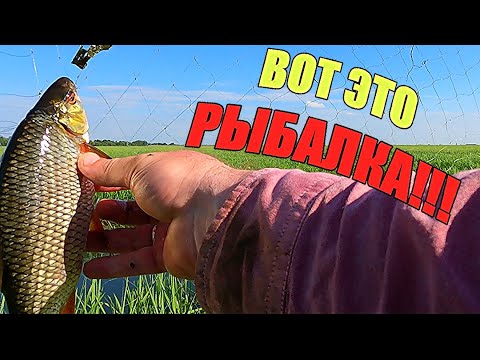 Видео: ЭТИ КАНАВЫ ПРОСТО ПОЛНЫ РЫБЫ!!! Удачная рыбалка на экраны.