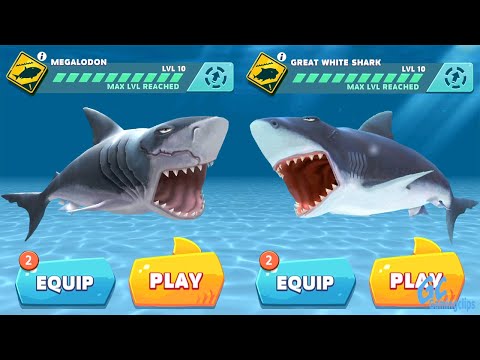 Видео: МЕГАЛОДОН против БОЛЬШОЙ БЕЛОЙ АКУЛЫ! Hungry Shark Evolution