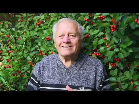 Видео: Советы садоводам от Распопова. Часть 3. Сорт Легенда и скороплодные яблони.