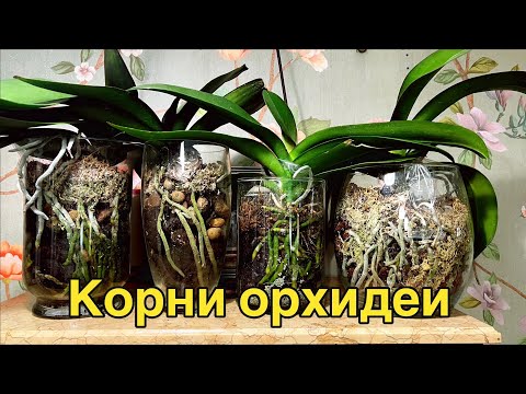 Видео: НАРАЩИВАЕМ - легко!🔥🔥🔥