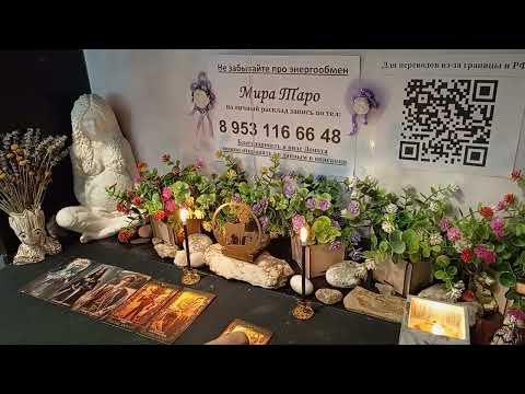 Видео: 🔥🔥🔥Как обстоят дела у предателя  в его гареме? 🤔