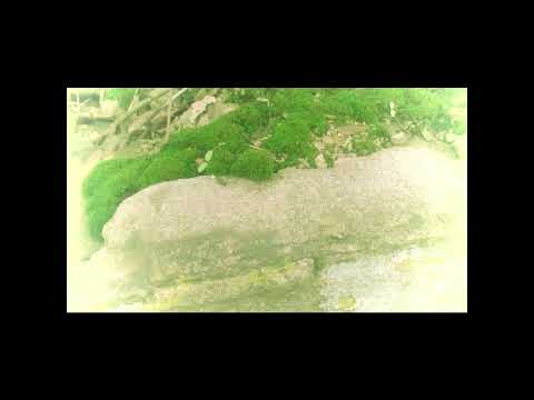 Видео: Антон Чехов. Мужики. Часть 2.