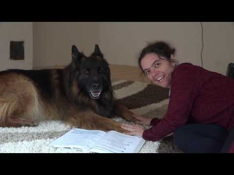 Видео: Перпендикуляр от точка до права