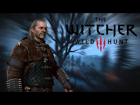 Видео: ЧИЛЛИМ В ВЕДЬМАЧКА #13 | The Witcher 3: Wild Hunt