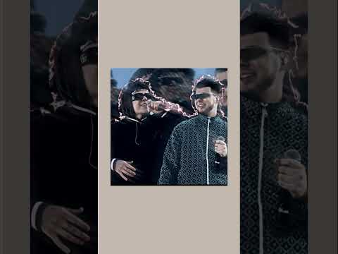 Видео: Gayzovs Brothers - верните в моду любовь |speed up |#гаязовы #малиноваялада