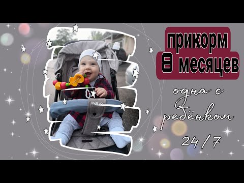 Видео: прикорм | меню в 8 месяцев | одна с ребёнком 24/7