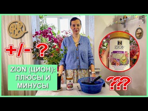 Видео: Цион / Zion для бугенвиллии. Мои результаты