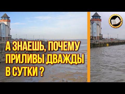 Видео: Почему приливы и отливы случаются дважды в сутки?