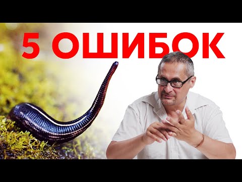 Видео: 5 ОШИБОК при постановке пиявок