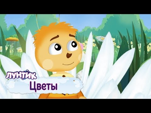 Видео: Цветы 🌸 Лунтик 🌺 Сборник мультфильмов для детей