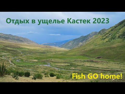 Видео: Отдых в ущелье Кастек 2023. Recreation at Kastek. Fish GO home.