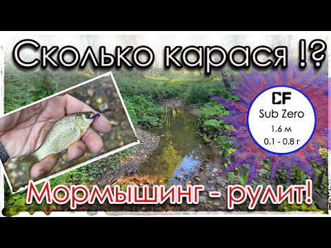 Видео: Сколько карася в этой луже?! Мормышинг - рулит! Sub Zero