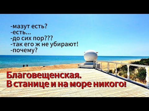Видео: Пляж Жара. Обстановка 7 июня. Станица БЛАГОВЕЩЕНСКАЯ.