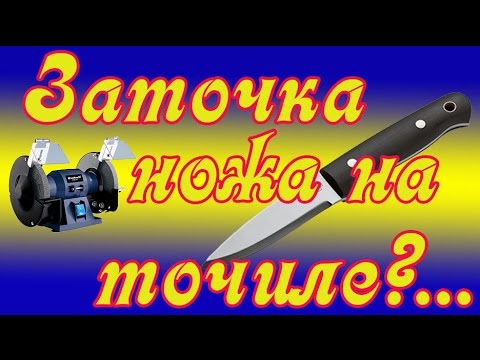 Видео: Как заточить кухонный нож на точиле ( приспособа )