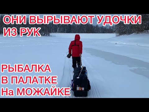 Видео: ОНИ ВЫРЫВАЮТ УДОЧКИ из РУК / ПЕРВАЯ РЫБАЛКА в ПАЛАТКЕ/ РЫБАЛКА на МОЖАЙСКОМ ВОДОХРАНИЛИЩЕ