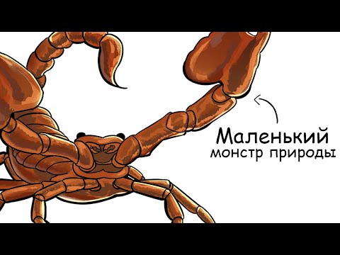 Видео: Ты – Скорпион (И ЭТО ВСЯ ТВОЯ ЖИЗНЬ)