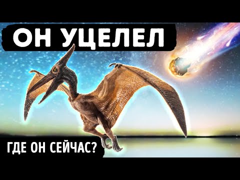 Видео: Астероид уничтожил динозавров, но не птиц || Каким образом уцелели летающие динозавры?