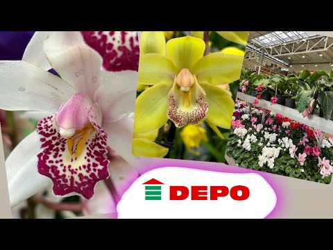 Видео: DEPO опять очень радует . Я просил новые растения , но я не думал , что так часто 😁😄😃