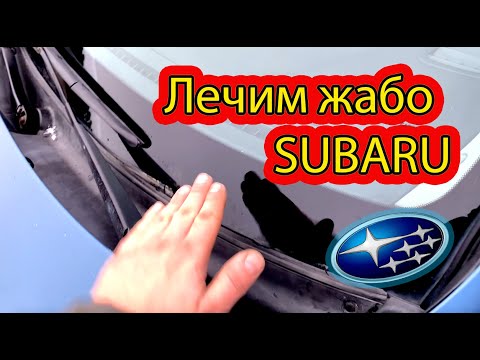 Видео: Лечим ЖАБО на Subaru