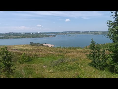 Видео: Выгуливаю Чижика по красивым местам