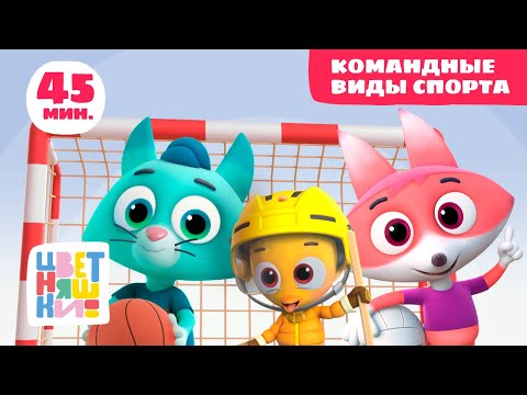 Видео: Цветняшки — Командные виды спорта — Сборник серий — Развивающий мультфильм