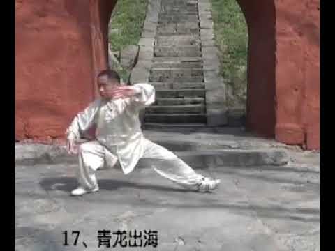 Видео: Удан Тайи Юлунцюань или "Уданский кулак плавающего дракона Великого Единого даосский мастер Гао Юнь.