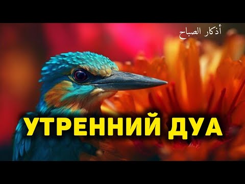 Видео: УТРЕННИЙ ДУА أذكار الصباح ЗАЩИТИТЬ ВАС ВЕСЬ ДЕНЬ | СЛУШАЙТЕ КАЖДОЕ УТРО!