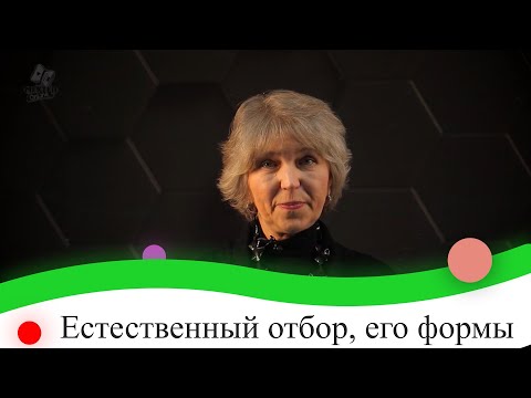 Видео: Естественный отбор, его формы (движущая и стабилизирующая). 9 класс.