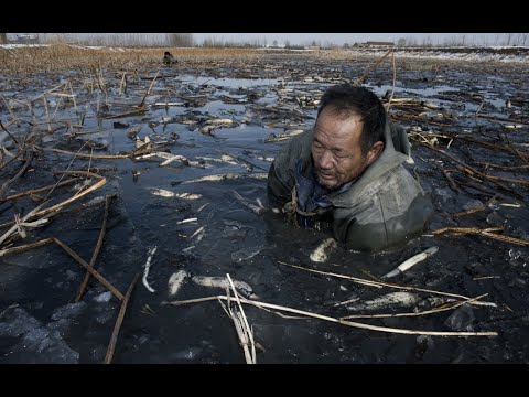 Видео: Адский труд на адской ферме: как китайцы выращивают овощи