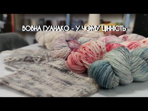 Видео: Вовна Гуанако - чому це волокно настільки цінне?!
