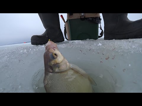 Видео: Я все таки нашел его! Отличный клев леща ,после баньки! Часть 2ая!