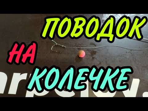 Видео: ПОВОДОК НА КОЛЕЧКЕ!
