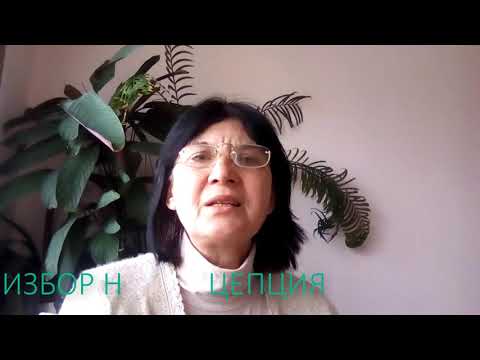 Видео: КАК ДА СЪЗДАДЕТЕ РЕСТОРАНТ ОТ НУЛАТА