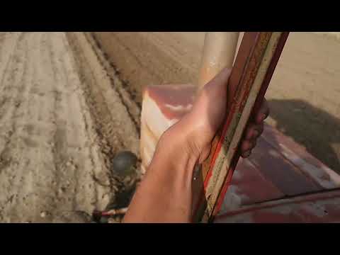 Видео: Shifeng SF 160 проти Т25😱 Чия оранка краща і який трактор себе виправдовує? Порівняння в роботі