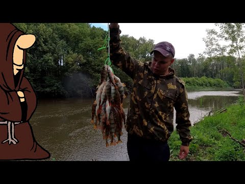Видео: Не успеваю насаживать червей на крючок рыбалка на реке Сок Самарская область