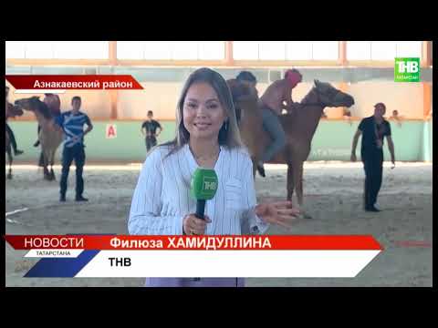 Видео: В Азнакаевском районе прошел чемпионат республики по борьбе на лошадях «Аударыш»