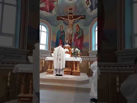 Видео: 12.10.2025 р.Б Свята Літургія 
