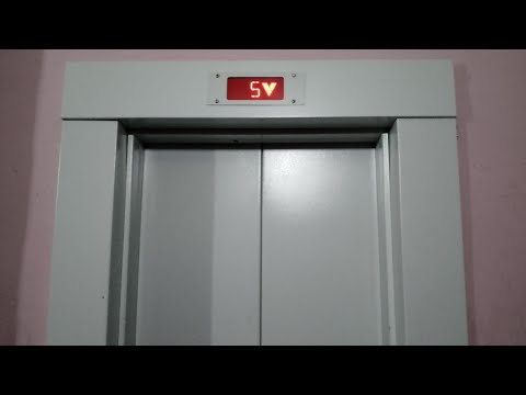 Видео: Гомель.Лифт МЛМ 2025 г.в. Улица Макаёнка 5 подъезд 1