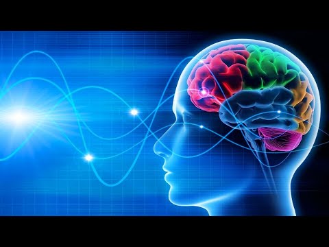 Видео: Человеческий мозг (рассказывает профессор Александр Каплан, продолжение)